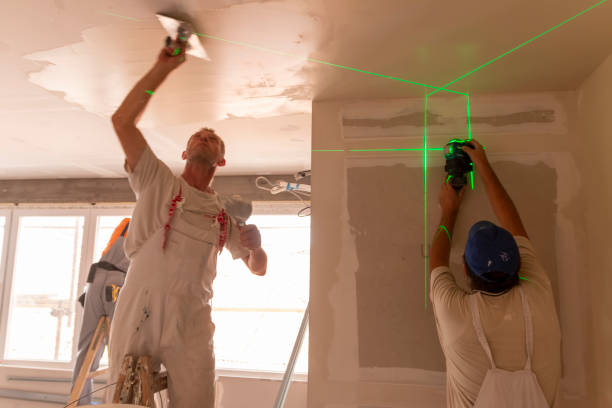 Best Mold Odor Removal Services  in Lakeside, TX